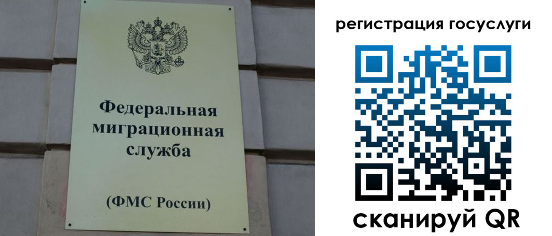 временная регистрация поиск в Ульяновской области
